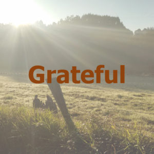 World GratitudeDay