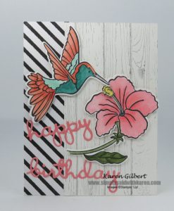 Create a beautiful hummingbird birthday