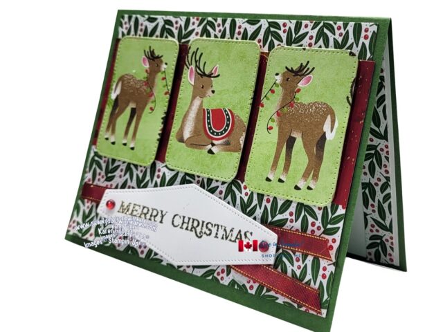 Reindeer fun Christmas Card